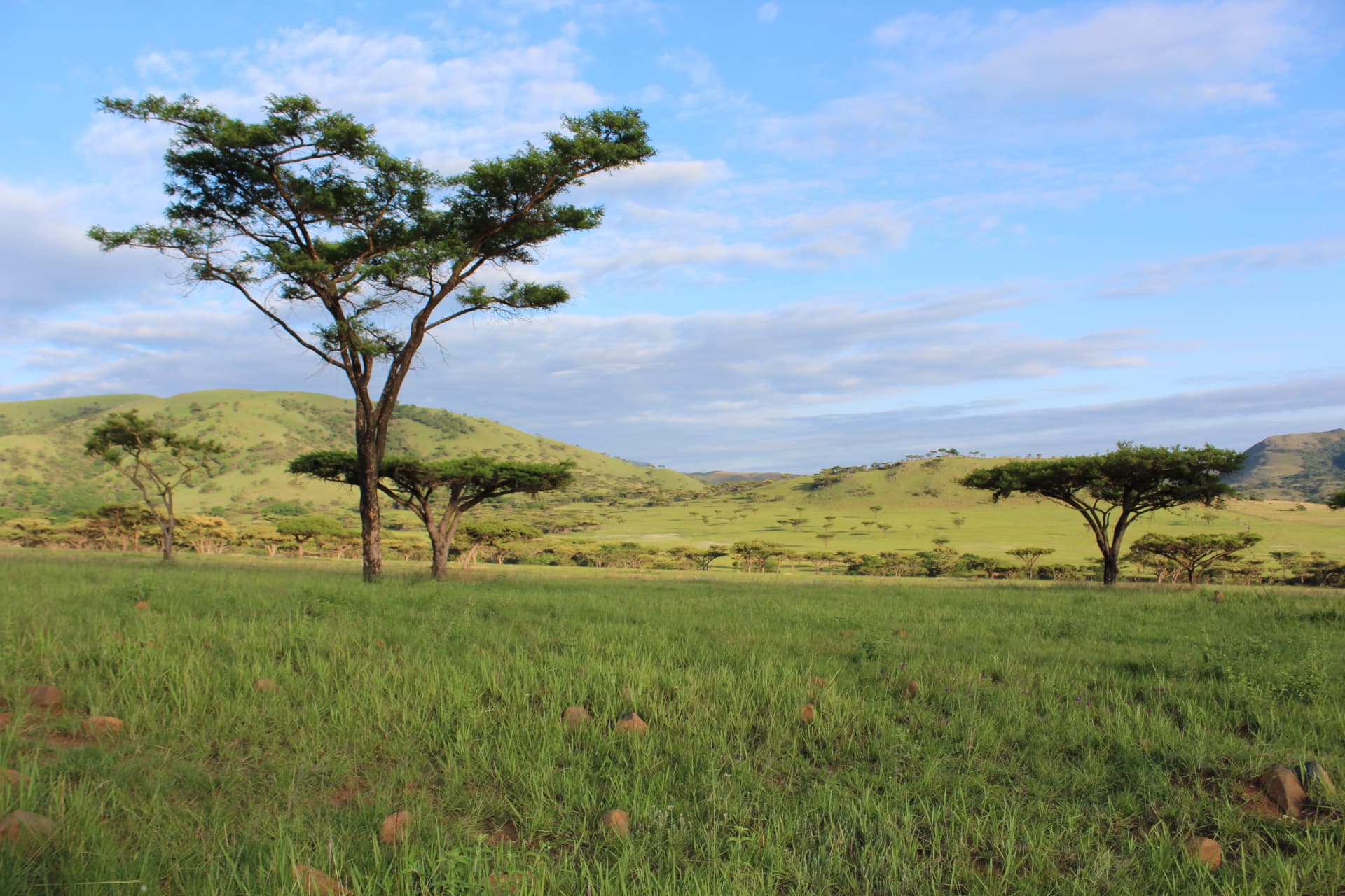 Koubad farm landscape